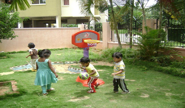 Featured Image of The Little Crest